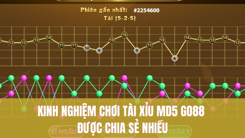 Kinh nghiệm chơi Tài Xỉu MD5 GO88 được chia sẻ nhiều